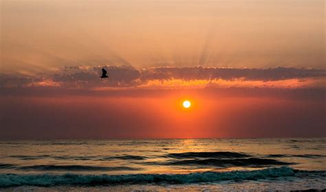 Андрей Блесс - Photographer - YouPic