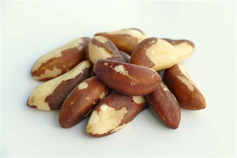 brazil nuts nuts images pixabay