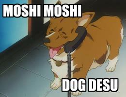desu Meaning | Translations by Dictionary.com
