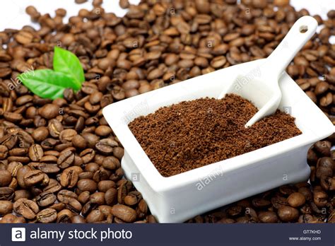 coffee bean  res stock photography  images alamy
