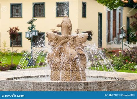 Stone Fountain of Fishes in Traditional Chinese Park Stock Photo ...
