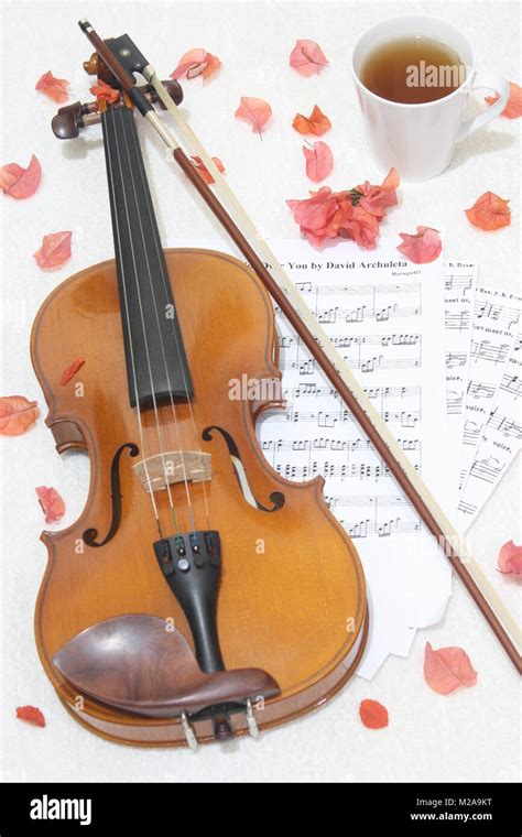 Alat musik biola hi-res stock photography and images - Alamy