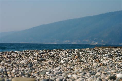 Абхазия (Гагра) фото №16956 | Фотогалерея Абхазии на WebTurizm