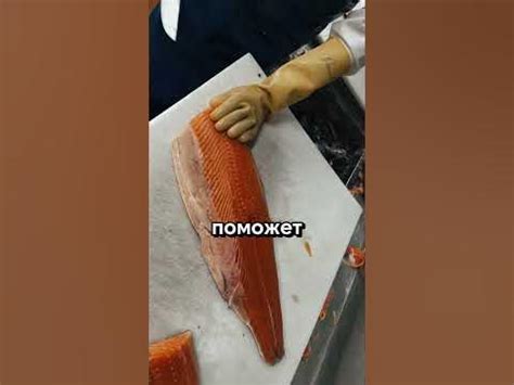 #вакансии #норвегия #трудоустройство #работавевропе #казахстан # ...