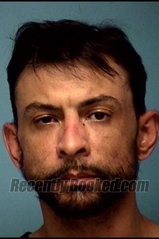 Recent Booking / Mugshot for DAVID L BROWN in Lorain County, Ohio
