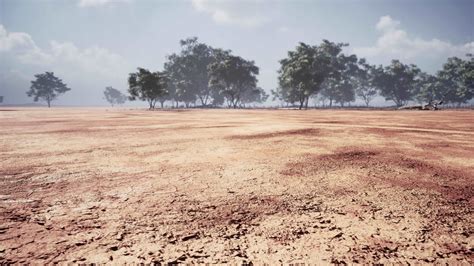 African savanna landscape with acacia trees 7538700 Stock Video at Vecteezy