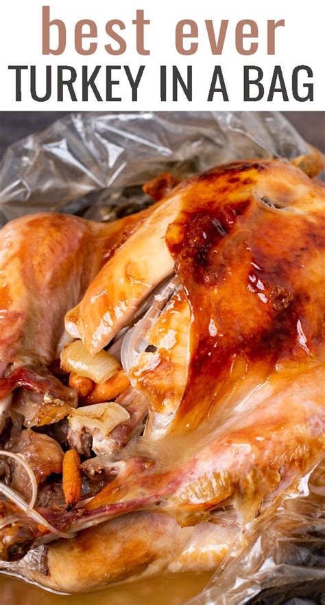 Turkey Leg Recipe Oven Bag | Besto Blog