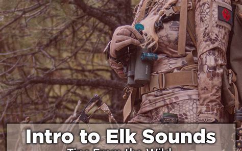 How To Make Elk Sounds – Kristy Titus