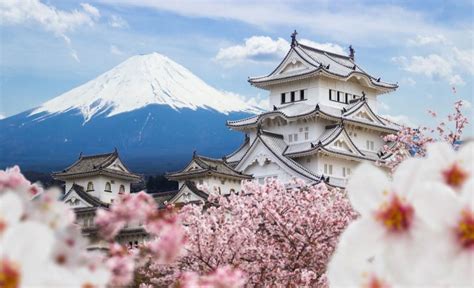 Lucruri interesante despre Japonia pe care cu siguranta nu le stiai - MDLPL