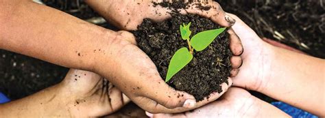 techsoups environmental work   world