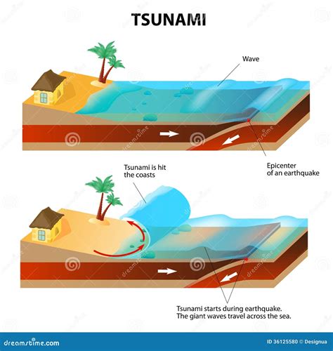 Causes Of Tsunami Geography From Ks3 To Ib
