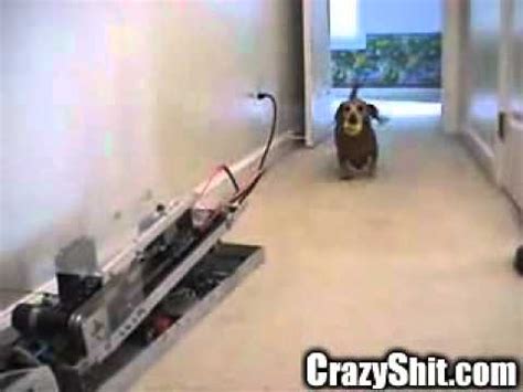 CrazyShit.com - YouTube