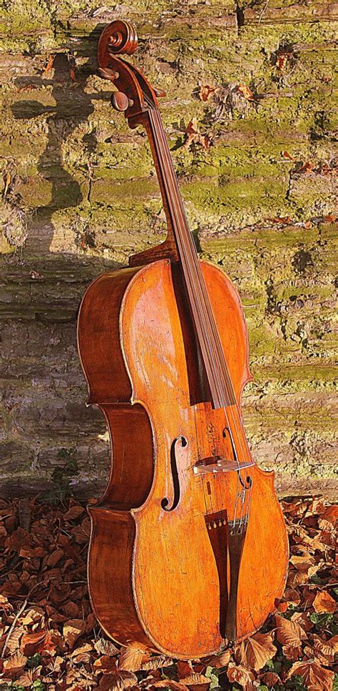 9 best Cello Quotes images on Pinterest | A quotes, Cello and Dating
