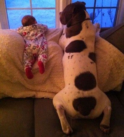 13 fotos provam que a amizade entre cachorros e crianças é puro amor ...