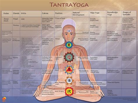 Tamils Past and Present: Tantra and Tantric Rituals of Saivism and Buddhism