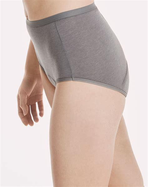 Hanes Brief 3-Pack Panties Fresh & Dry Moderate Leak Protection Womens