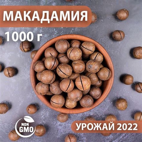 Макадамия орех в скорлупе 1 кг - купить с доставкой по выгодным ценам в ...