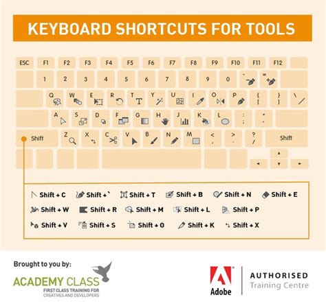 Полезные горячие клавиши в Illustrator от Adobe и Academy class. #tips ...
