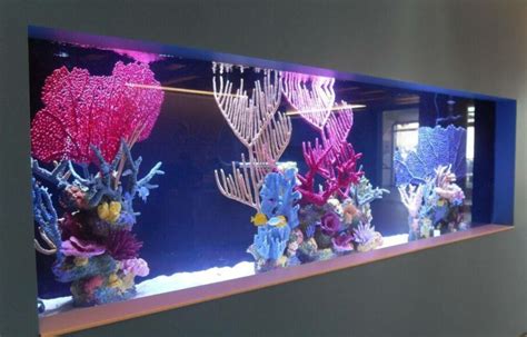 aquarium reef illusions - Aquarium Gallery