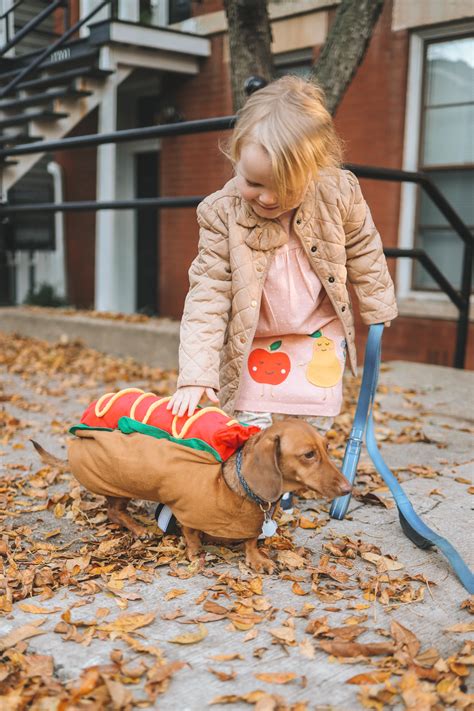 Hot Dog Costume