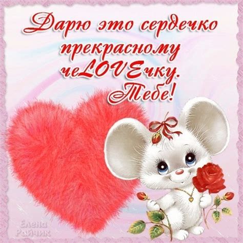 Картинки и фото моя ты радость