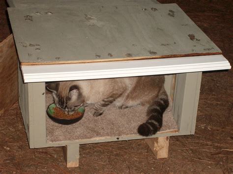 Outdoor Shelter For Stray Cats at Jack King blog