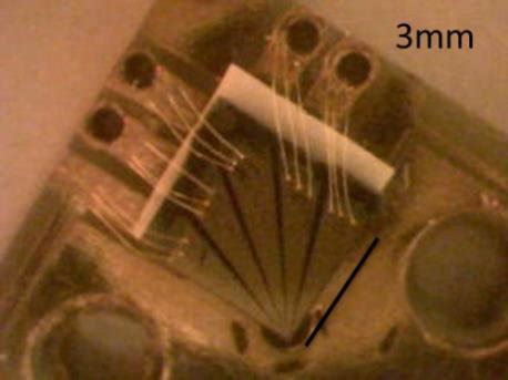 Diced and packaged Hall-Probe with 3mm scale bar. | Download Scientific ...