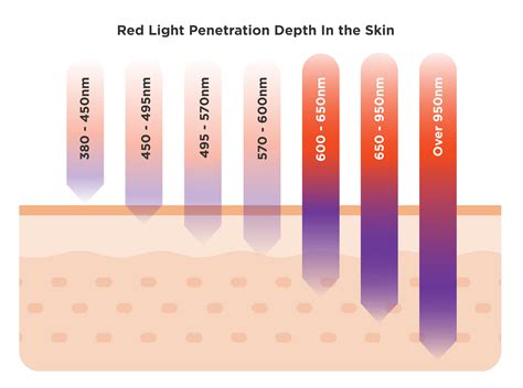 Nova Red Light Therapy Bed | Full-Body Recovery at Home – Solbasium