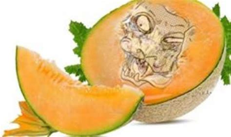 This Bares Melon Left Me Speechless You Ll Never Believe What Happened Next news