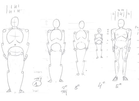 Human Male Proportions - Front View - Show - GameDev.tv