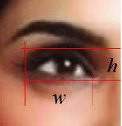 diagram  eye  represents  width   eye   represents