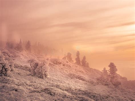 scenic landscape   view   mounatin range   valley filled