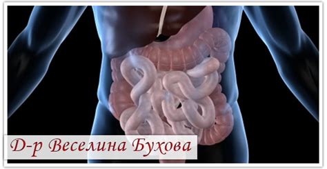 Д-р Веселина Бухова | Гастроентеролог София, София | BUSINESS.bg