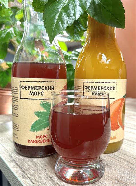 Подмосковное фермерское хозяйство произвело 150 тонн сока и 100 тонн ...