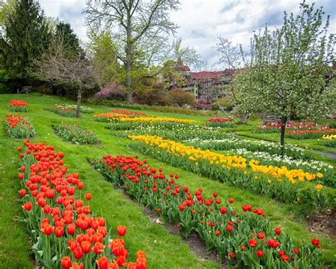 Monique F. G. Noel-Gunter Realtor | Brewster NY