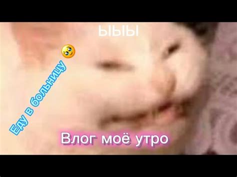 Влог моё утро 🍒🍏🍉🍓🥗 - YouTube