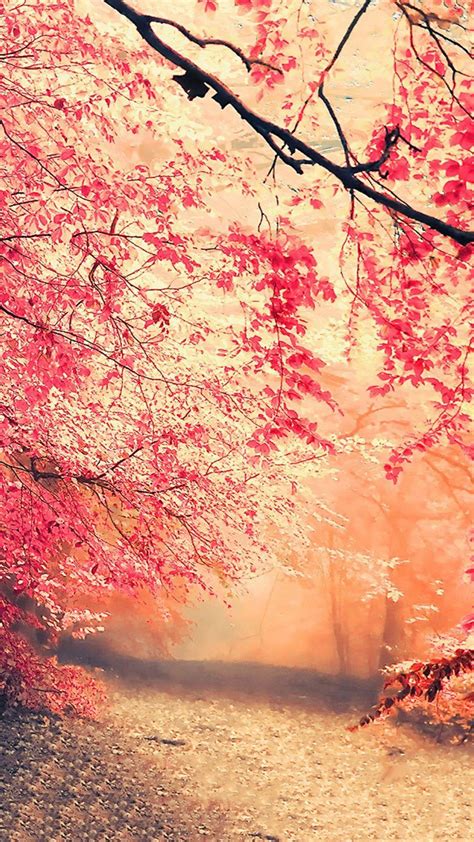 4k 3D Nature Mobile Wallpapers - Wallpaper Cave