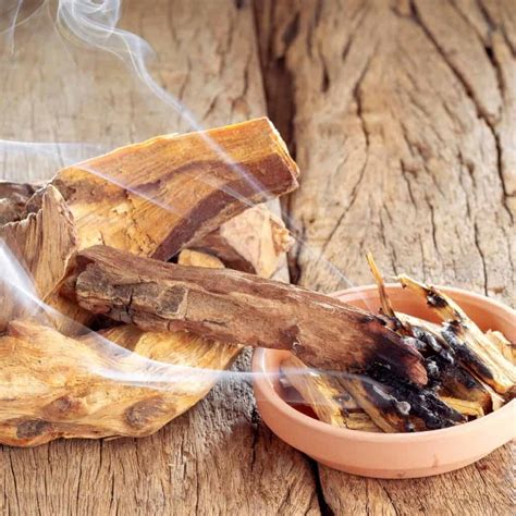 Holy Wood: All About Palo Santo • Schisandra & Bergamot