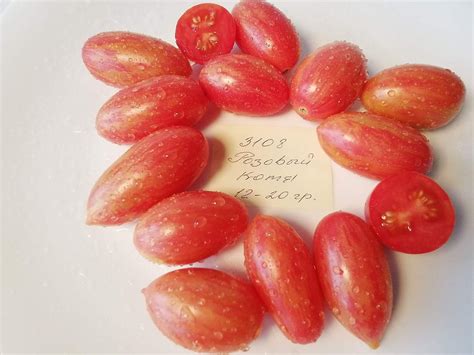 3108- Cherry Pink Cat / Черри Розовый Котя | Tomatoeden