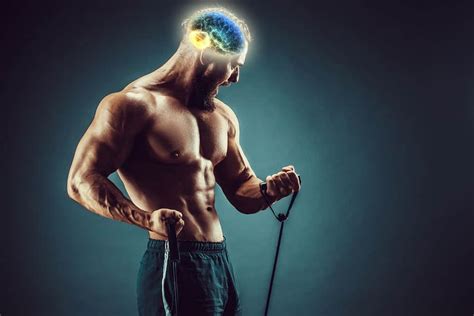 How Your Brain Benefits From Resistance Training Explained by Science – Ballz Magazine