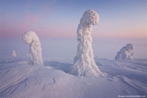 Surreal Photo Shows 'Belt of Venus' Pink Sky | Space