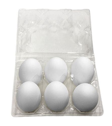 Duck Egg Carton | Plastic 6-Egg Un-Labeled – EggCartons.Com