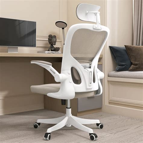 Monhey Ergonomic Office Chair Office Chair with Lumbar Support