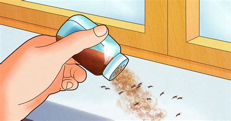 Effective and Safe Ways to Get Rid of Ants in Your Home - Hunter Games Magazine