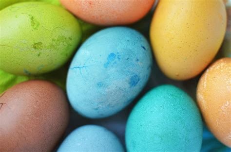 Assorted-colored Eggs · Free Stock Photo