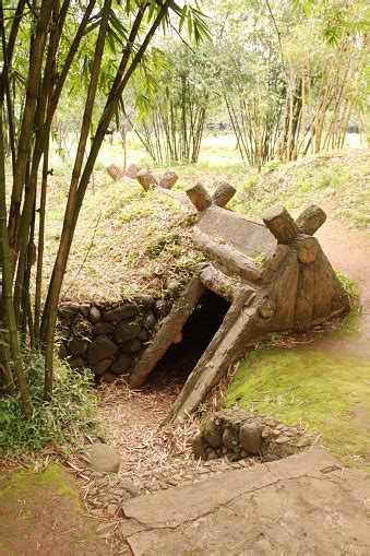 bunker perang vietnam foto stok  gambar  asia asia