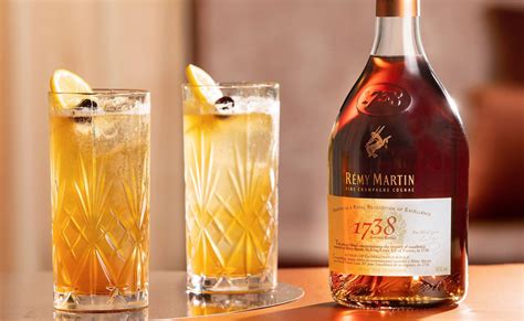 How to Drink: Rémy Martin 1738 Accord Royal - Spill