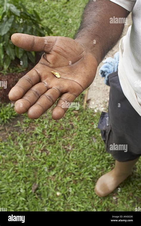 Gold mine guyana hi-res stock photography and images - Alamy
