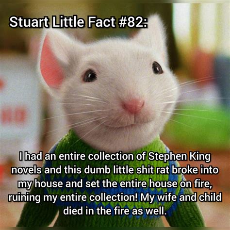 The surprising stuart stuart little fact from the original book 20
