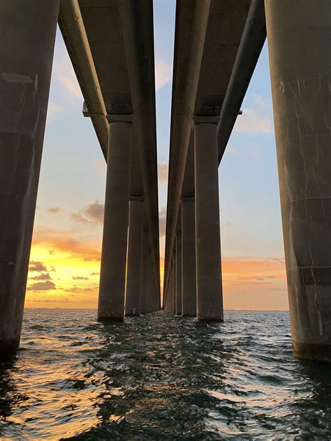 Best St. Petersburg, Florida Posts - Reddit